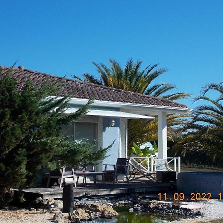 Maison Authentique Avec Spa Pres De Dax Et Son Jardin Villa Angoume Luaran gambar